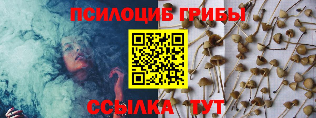 Мелеуз  Галлюциногенные грибы GOLDEN TEACHER  Вход с VPN  Псилоцибиновые грибы Cubensis 